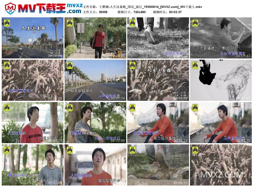 王楷湖-人生这条路_国语_流行_YE600614